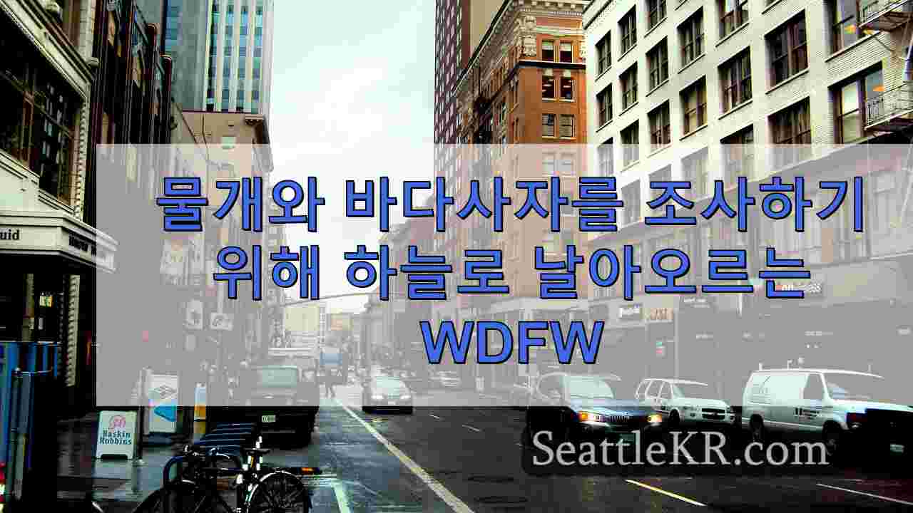 시애틀 뉴스 SeattleKR