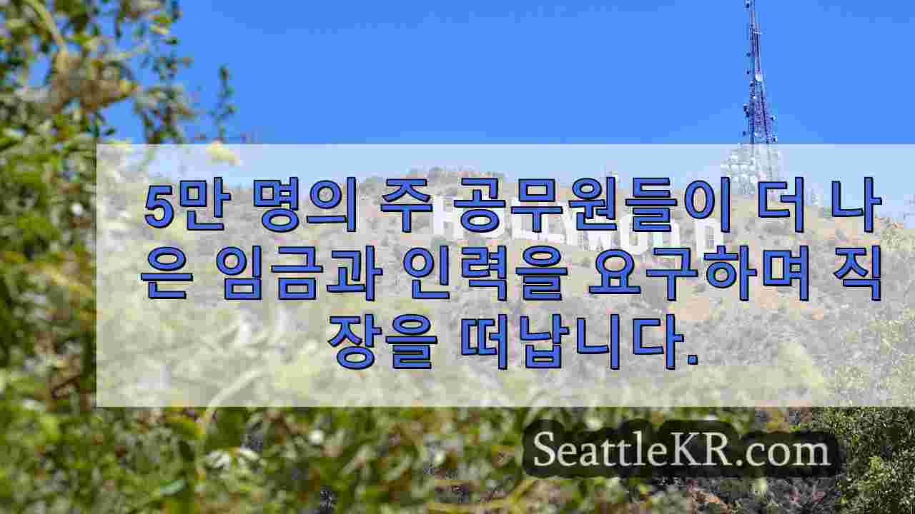 시애틀 뉴스 SeattleKR