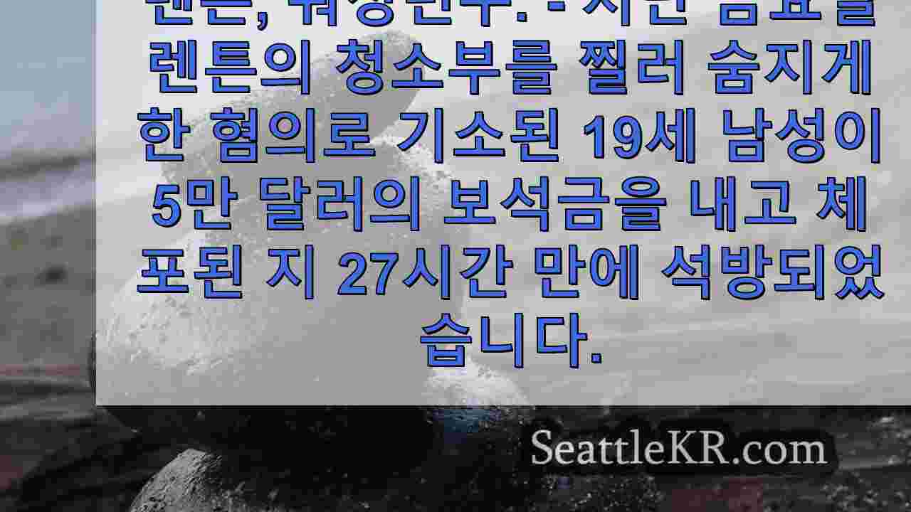 시애틀 뉴스 SeattleKR