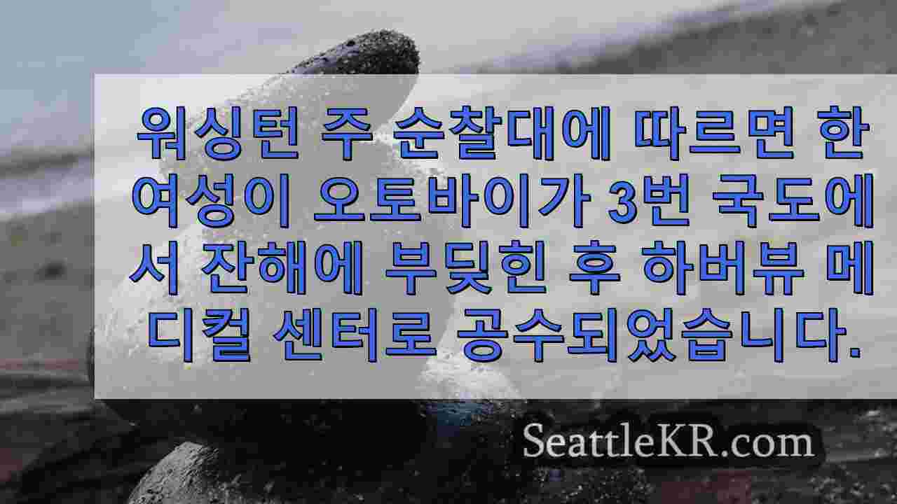 시애틀 뉴스 SeattleKR