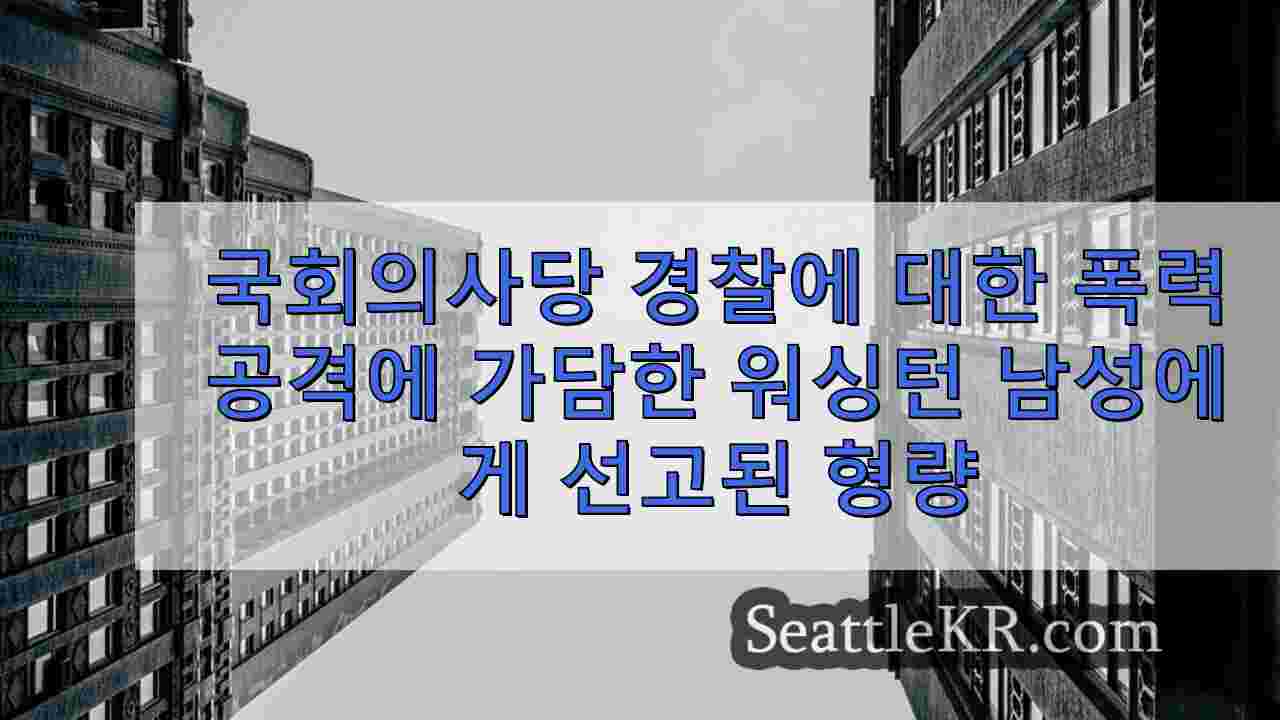 시애틀 뉴스 SeattleKR
