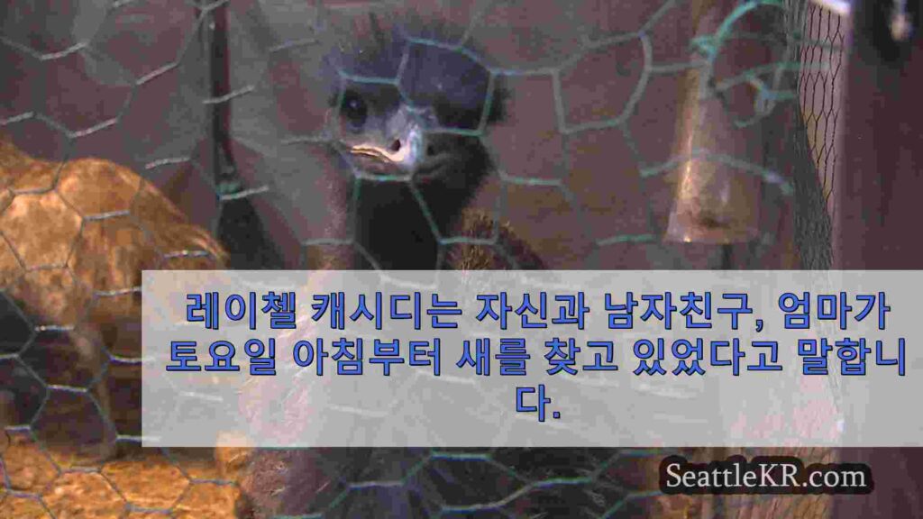 이 에뮤를 보셨나요? 토요일부터 푸얄럽 지역에서 실종된 새가