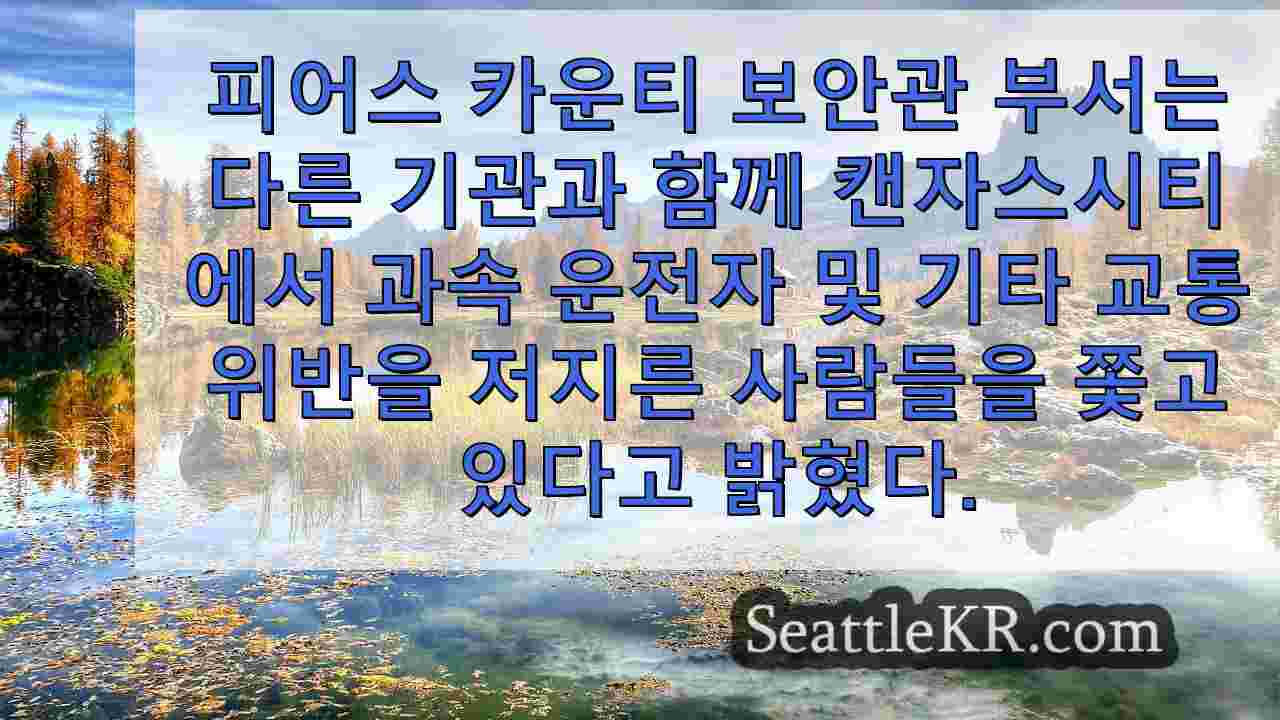 시애틀 뉴스 SeattleKR