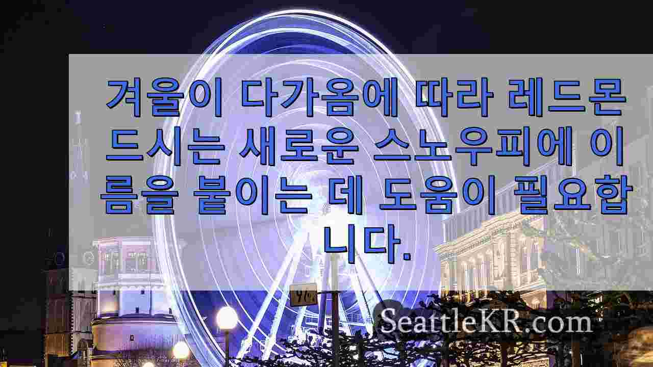 시애틀 뉴스 SeattleKR