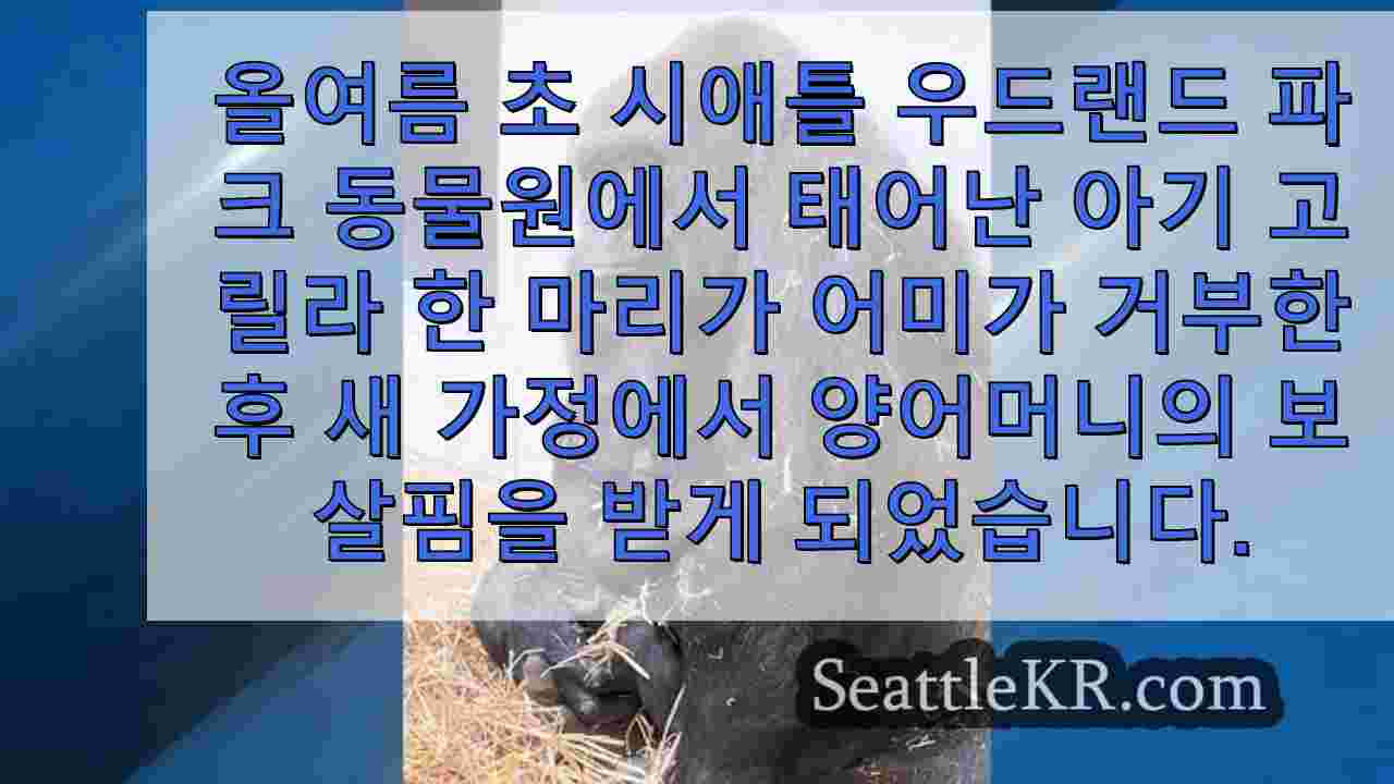 시애틀 뉴스 SeattleKR