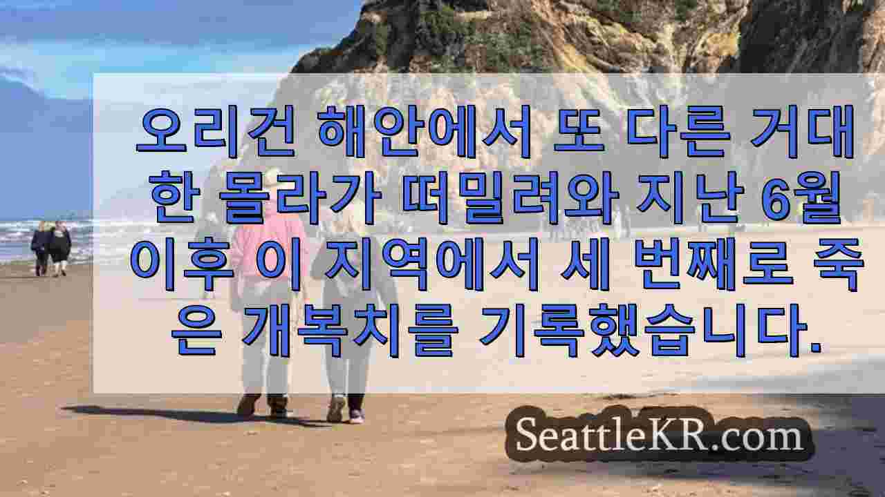 시애틀 뉴스 SeattleKR