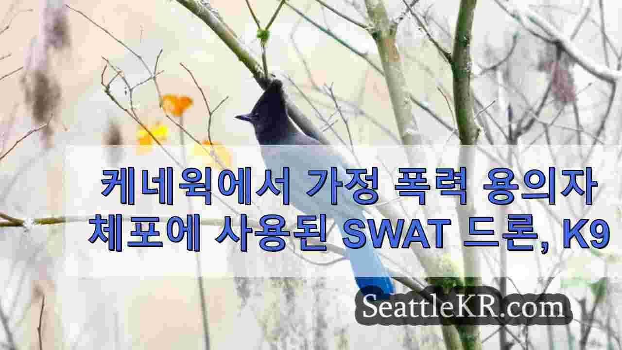 시애틀 뉴스 SeattleKR