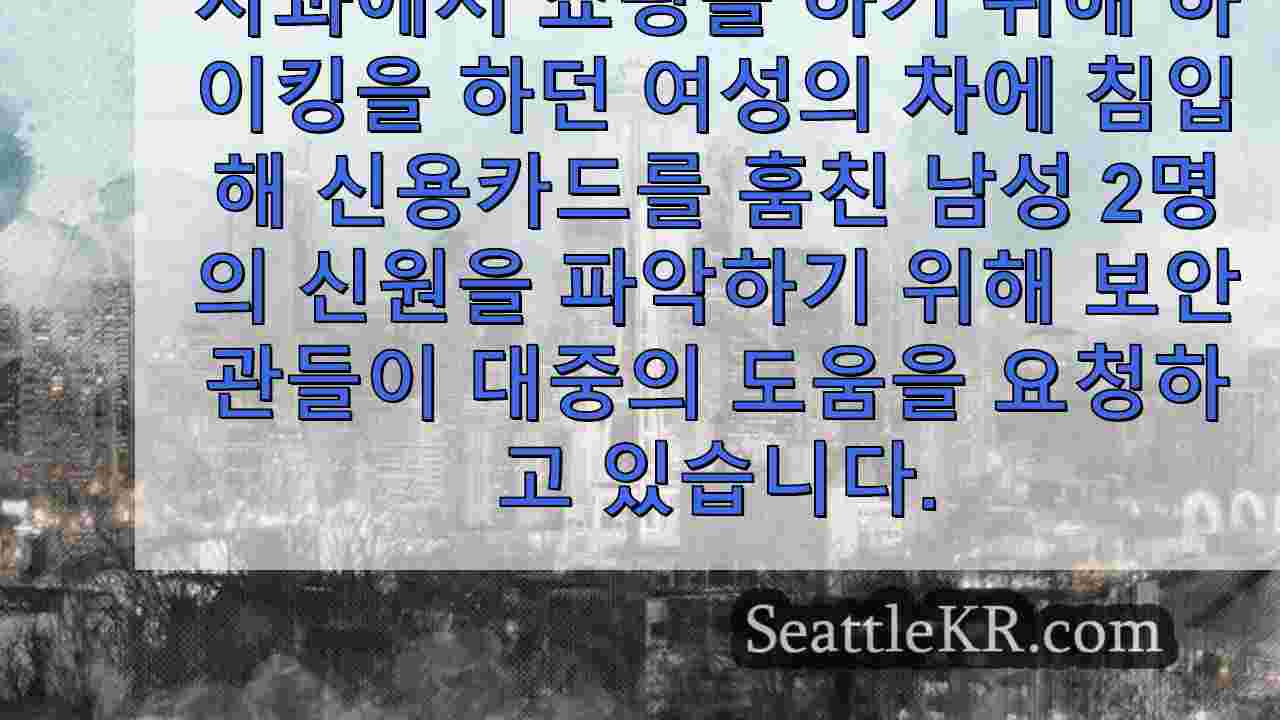 시애틀 뉴스 SeattleKR