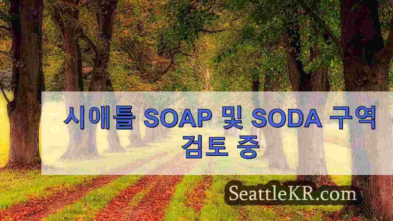 시애틀 SOAP 및 SODA 구역 검토 중