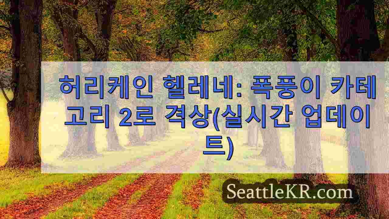 시애틀 뉴스 SeattleKR