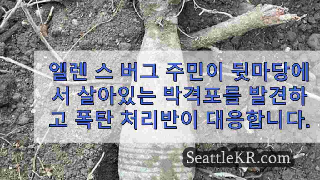엘렌 스 버그 주민이 뒷마당에서 살아있는 박격포를 발견하고 폭탄