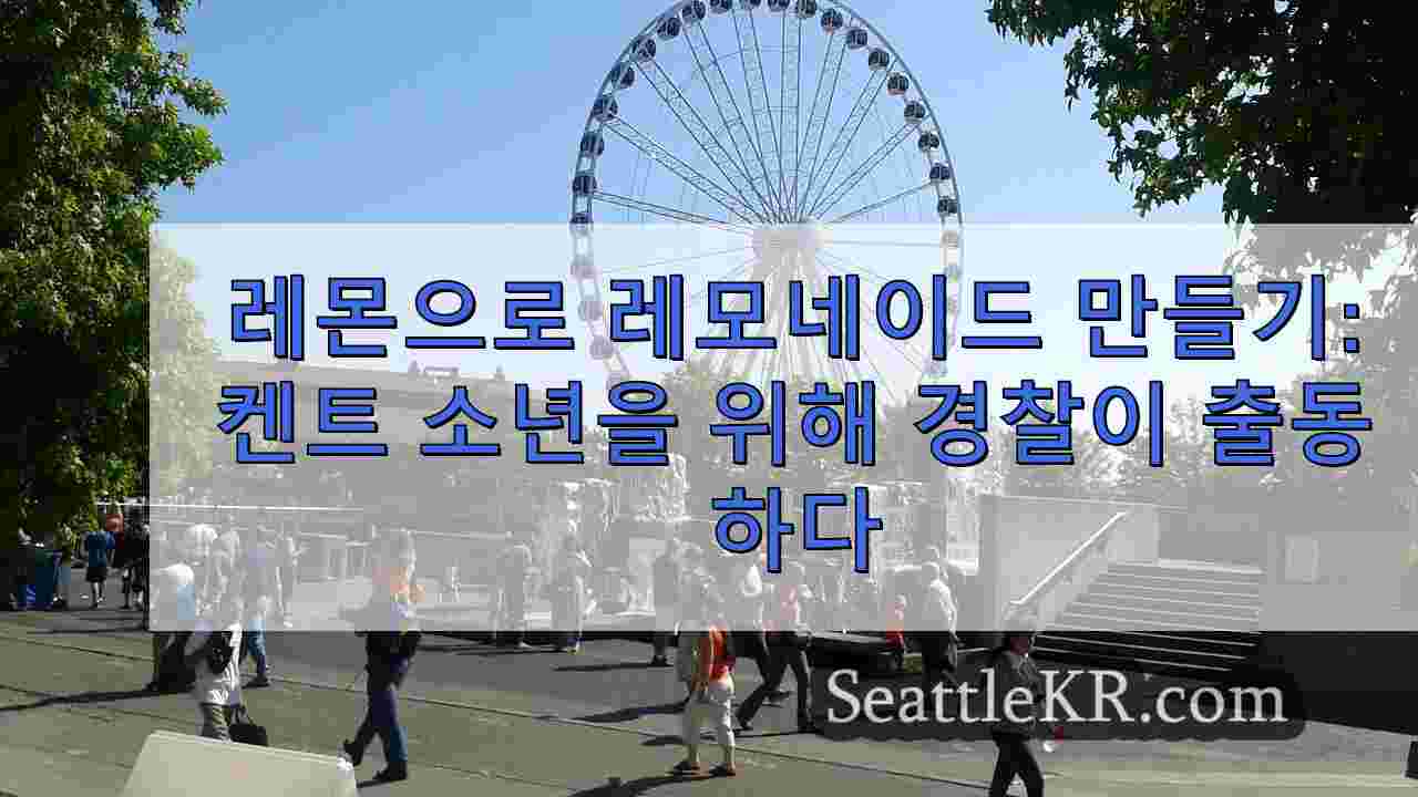 시애틀 뉴스 SeattleKR