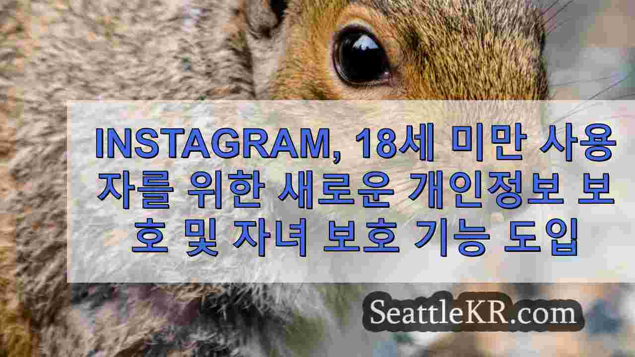 시애틀 뉴스 SeattleKR