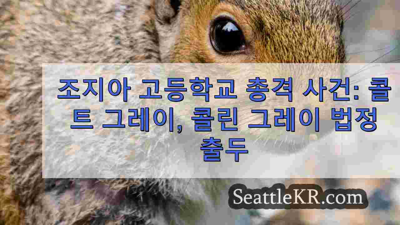 시애틀 뉴스 SeattleKR