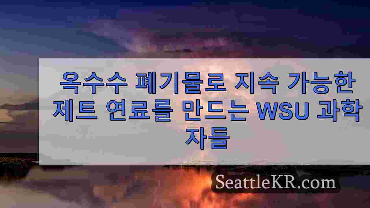 시애틀 뉴스 SeattleKR