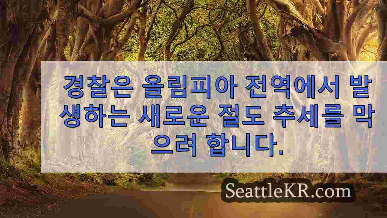 시애틀 뉴스 SeattleKR