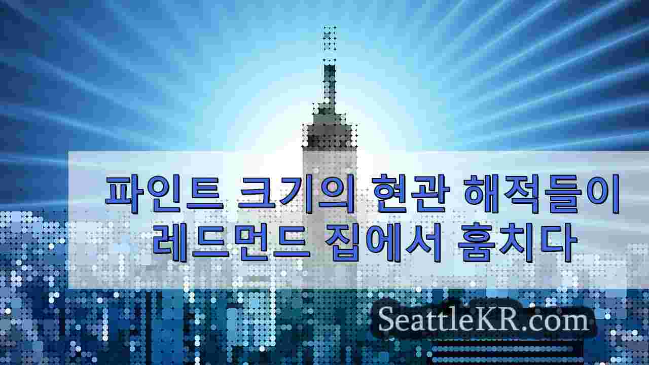 파인트 크기의 현관 해적들이 레드먼드 집에서 훔치다