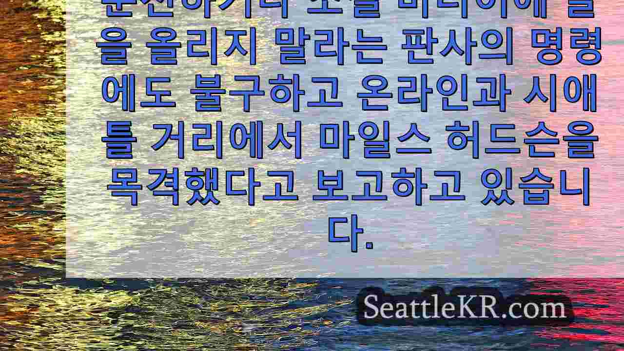 시애틀 뉴스 SeattleKR