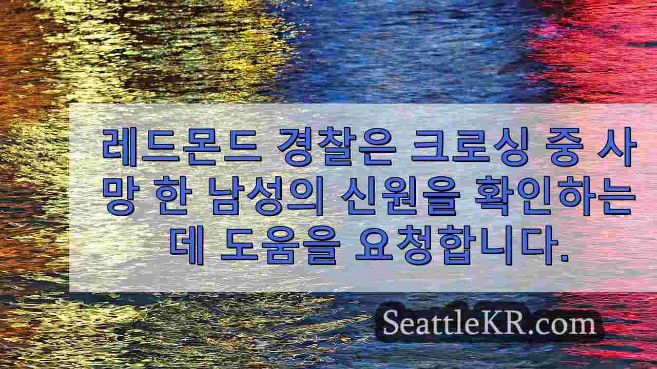 시애틀 뉴스 SeattleKR