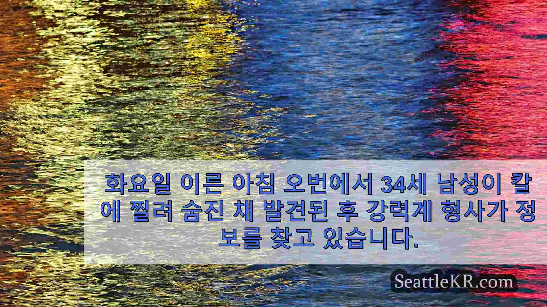 시애틀 뉴스 SeattleKR