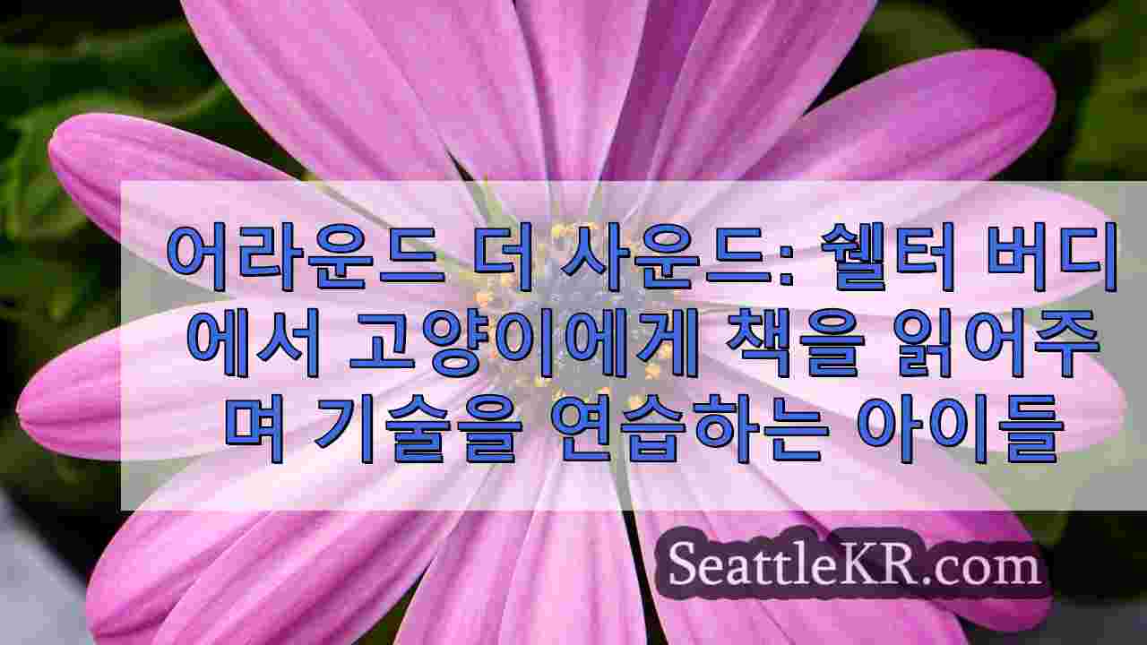 시애틀 뉴스 SeattleKR