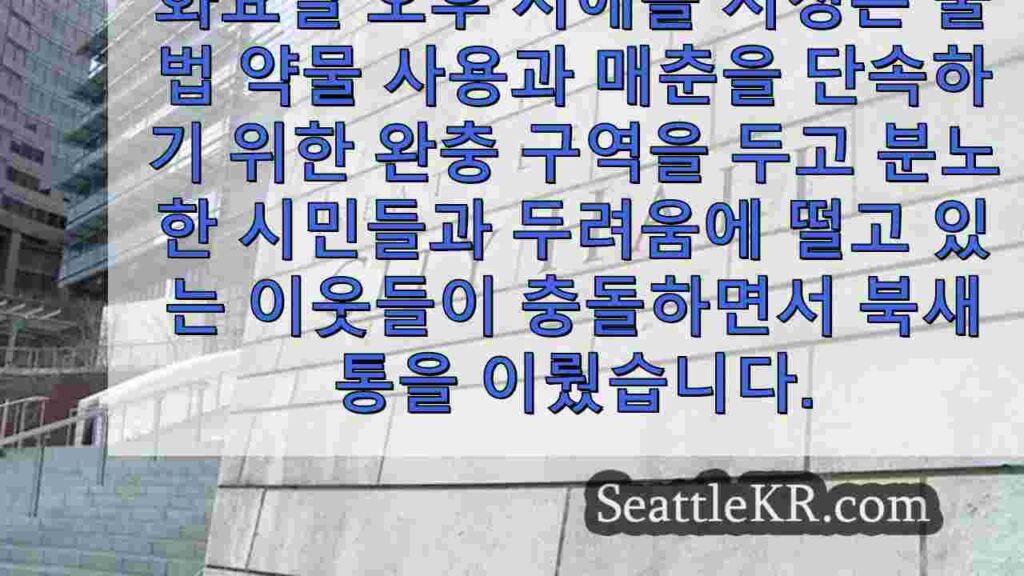 시애틀 시의회, 논란의 여지가 있는 마약 및 매춘 완충 구역 통과