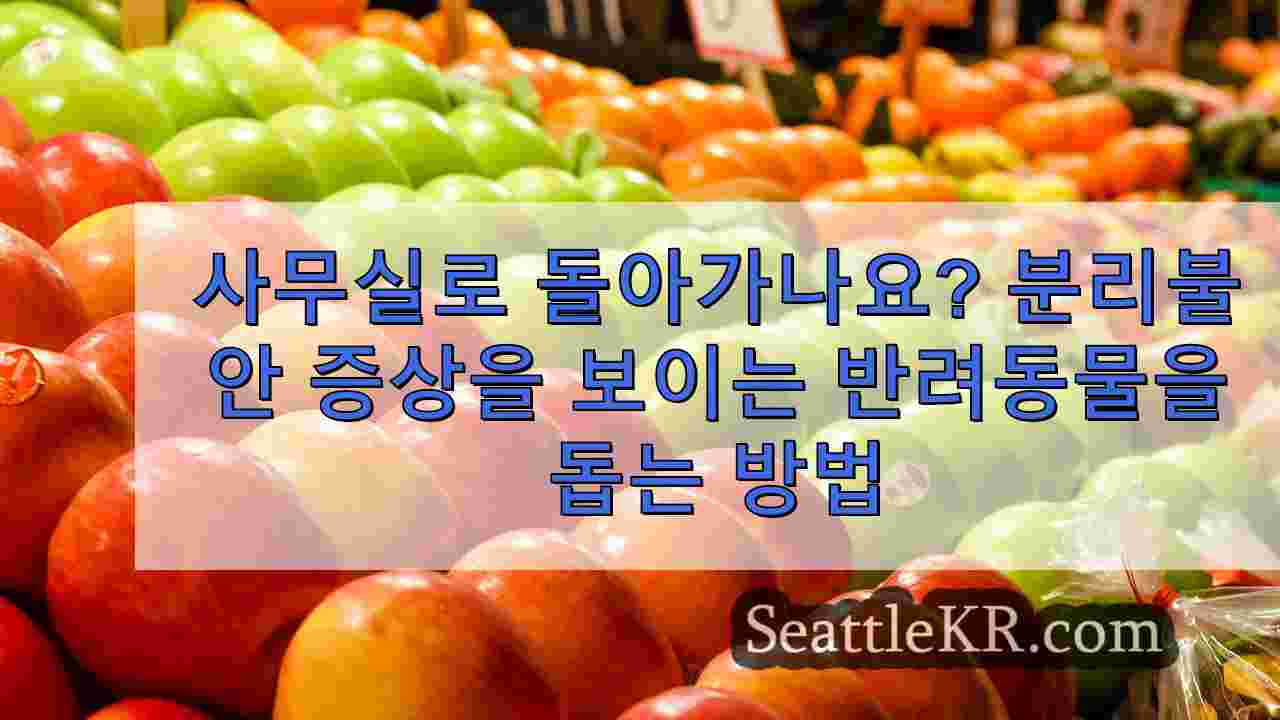 시애틀 뉴스 SeattleKR