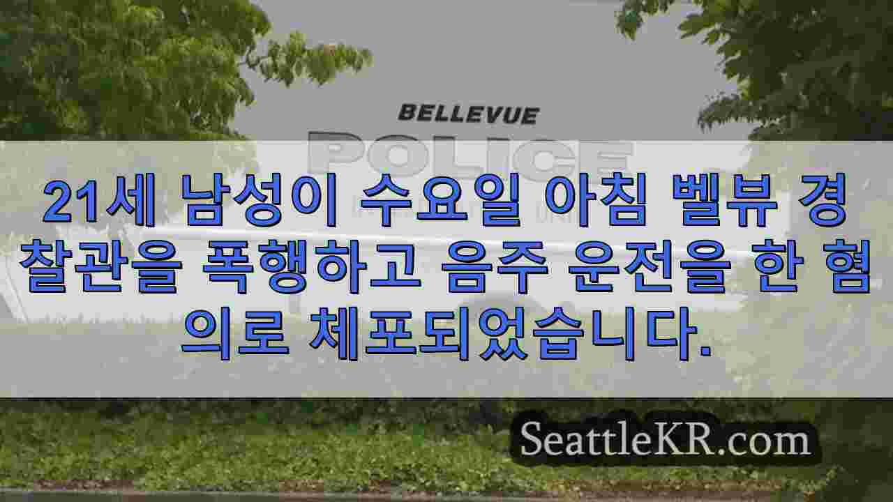 시애틀 뉴스 SeattleKR