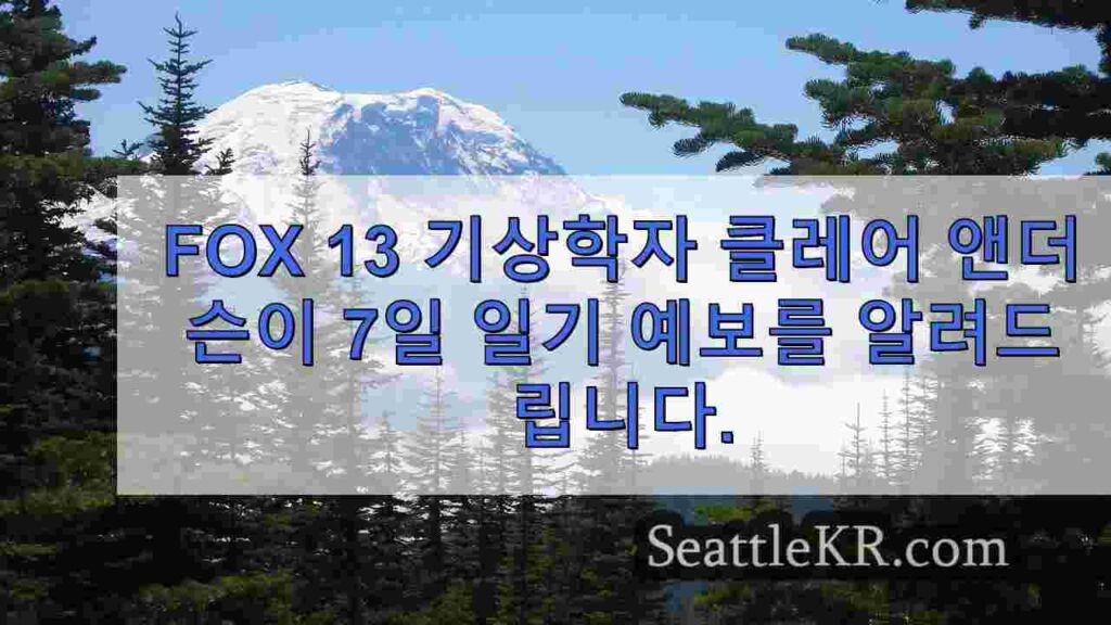 시애틀 날씨: 일주일 중 가장 따뜻한 요일, 화요일 최고 70대