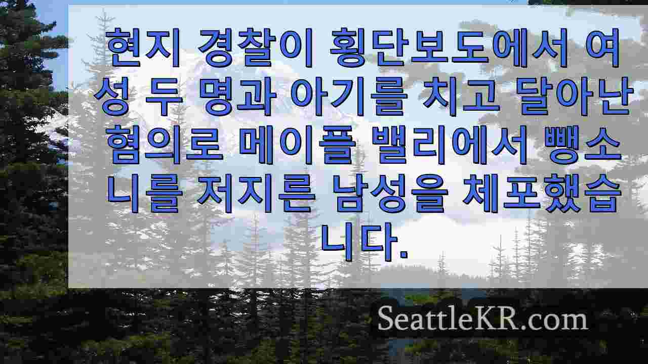 시애틀 뉴스 SeattleKR