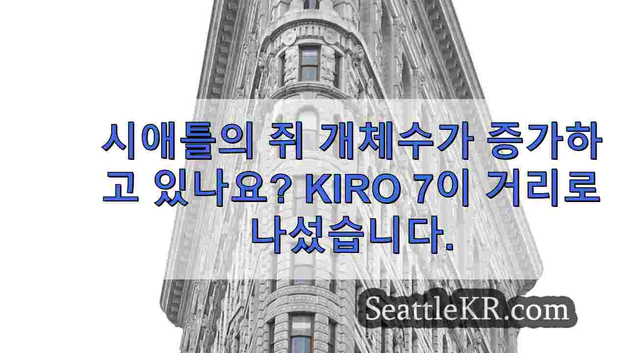 시애틀 뉴스 SeattleKR