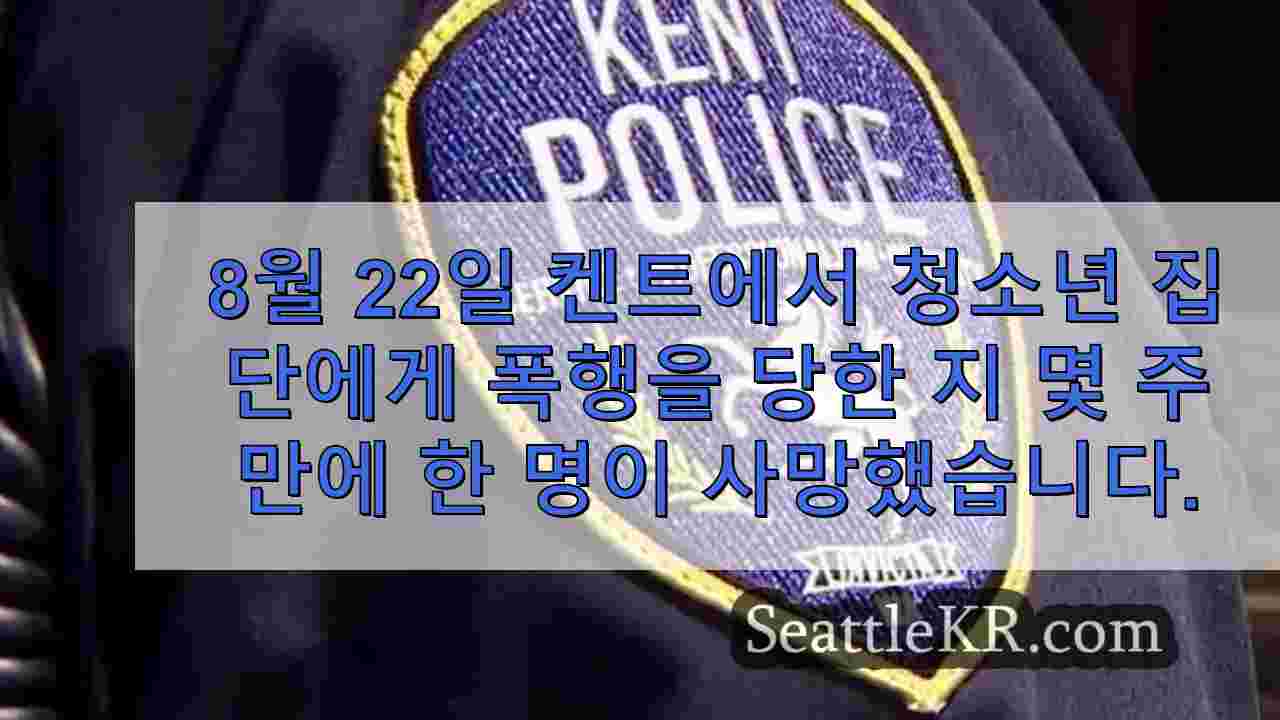 시애틀 뉴스 SeattleKR