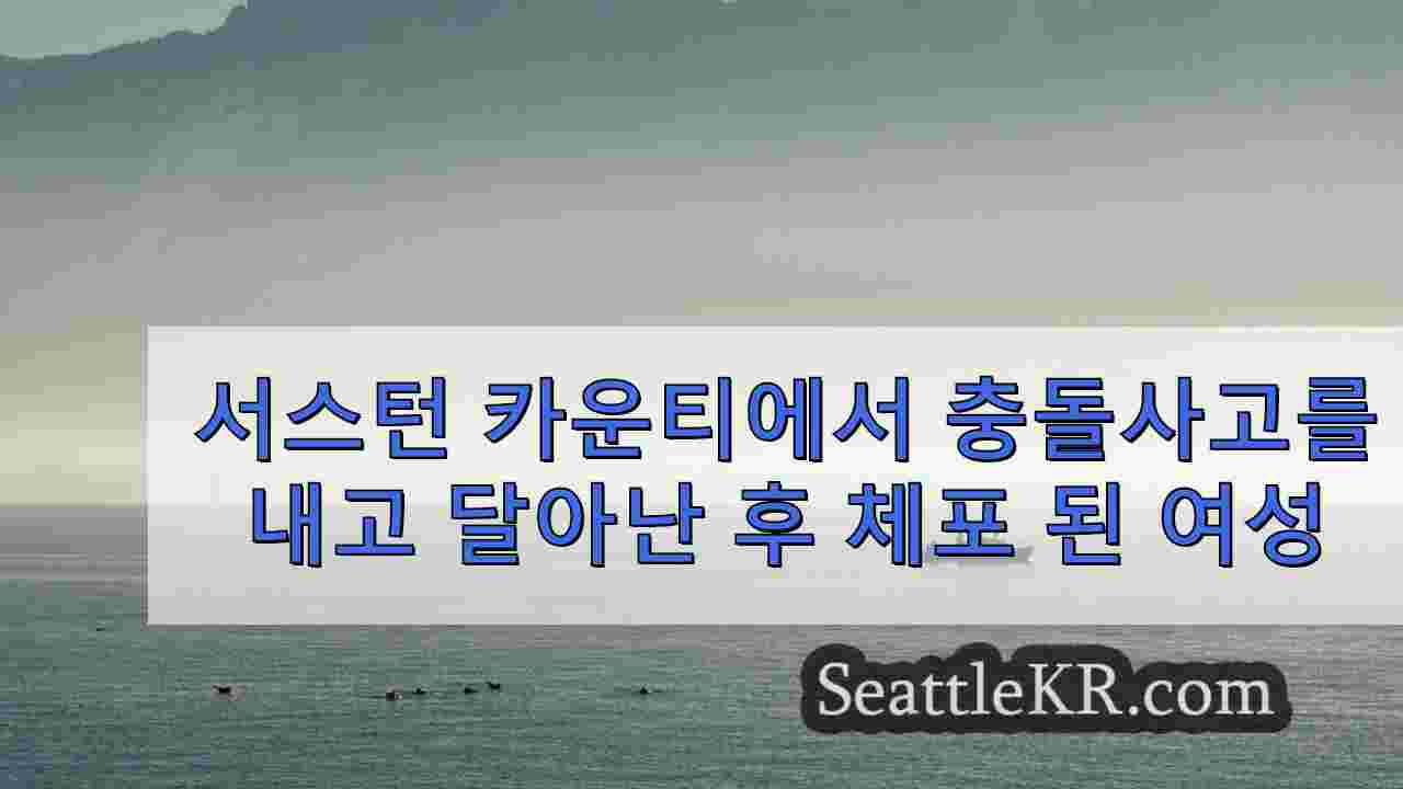 시애틀 뉴스 SeattleKR