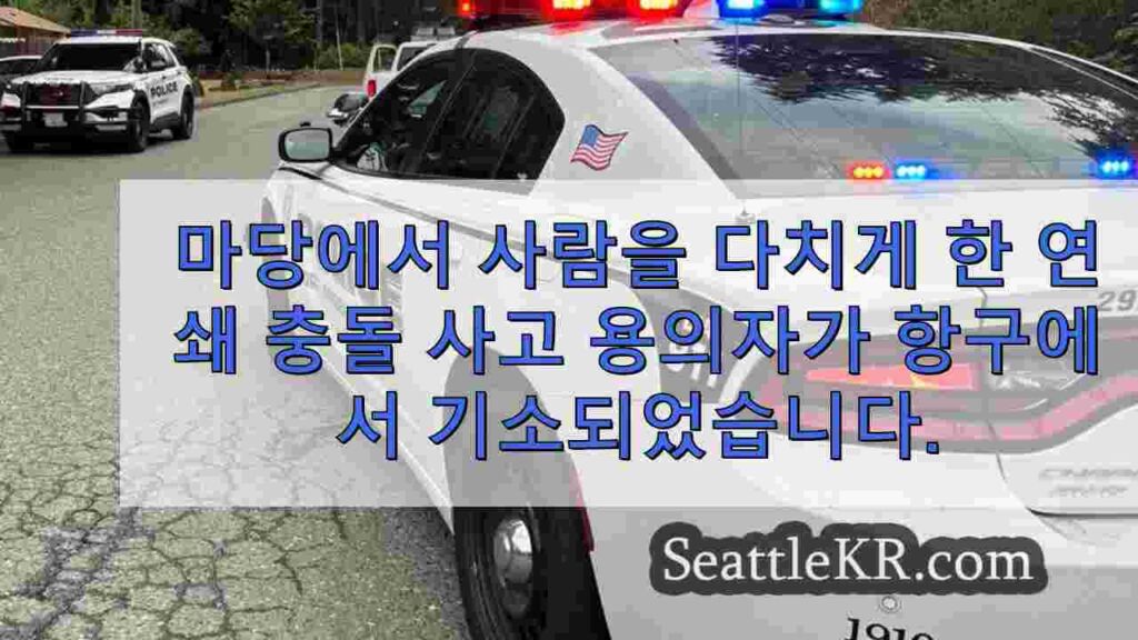 마당에서 남성을 다치게 한 연쇄 반응 충돌 용의자가 포트 앤젤레스에서