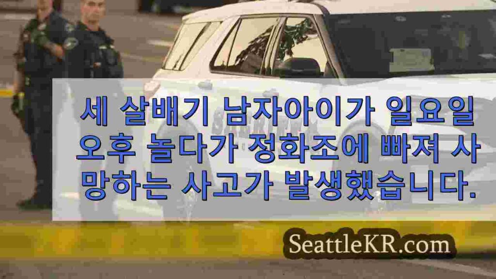 3세 소년, 정화조에 빠진 후 사망