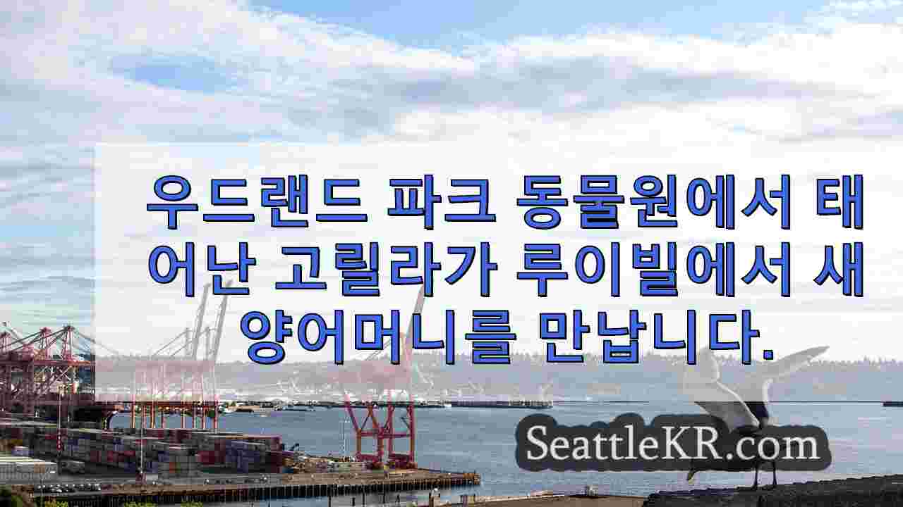 시애틀 뉴스 SeattleKR