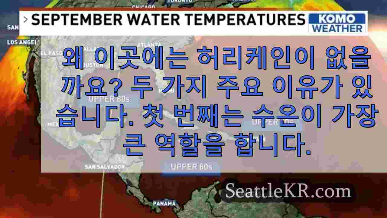 시애틀 뉴스 SeattleKR
