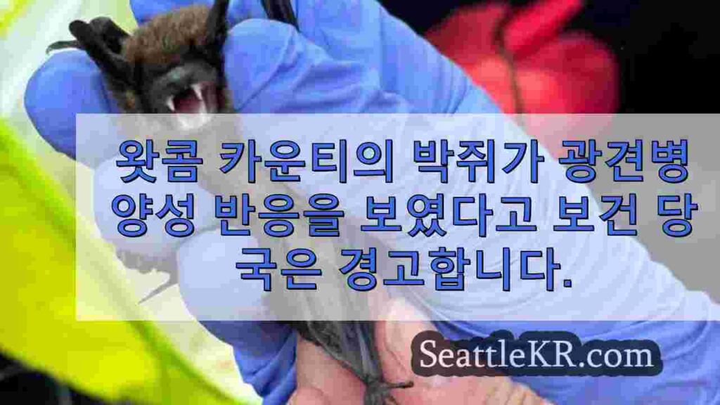 왓콤 카운티의 박쥐가 광견병 양성 반응을 보였다고 보건 당국은