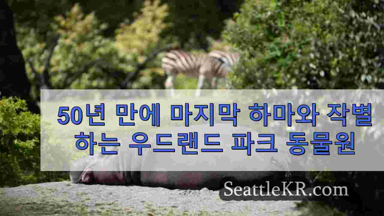 시애틀 뉴스 SeattleKR