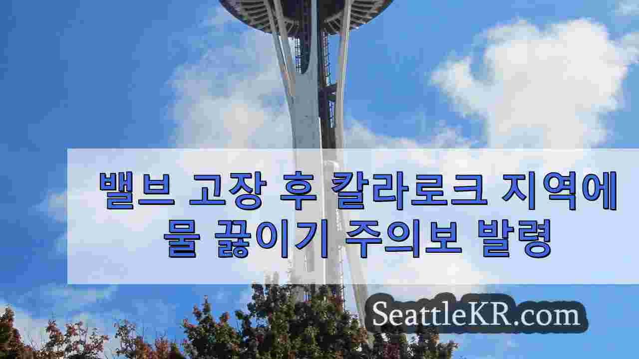 시애틀 뉴스 SeattleKR