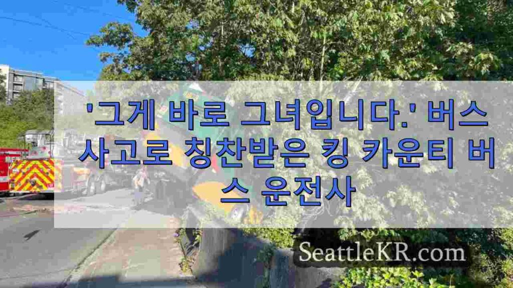 '바로 그 사람입니다.' 버스 추락 사고 구조로 칭찬받은 킹 카운티