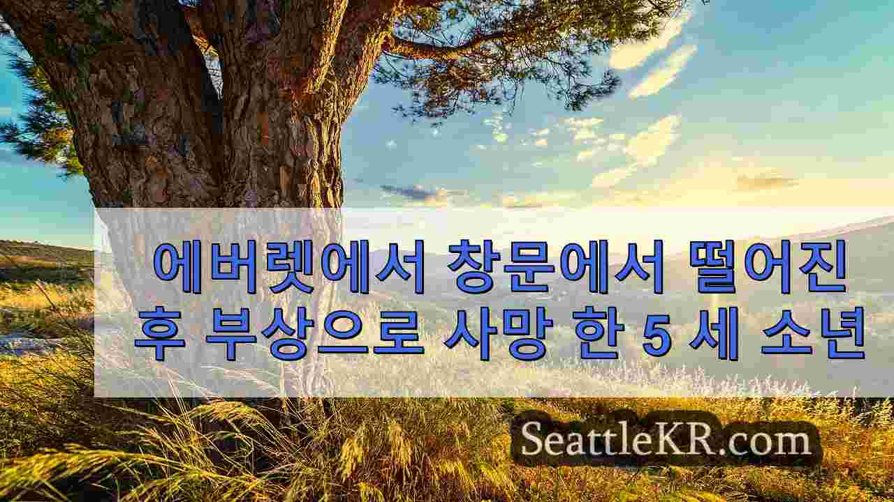 시애틀 뉴스 SeattleKR