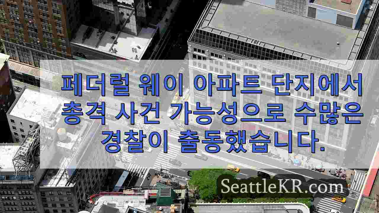 시애틀 뉴스 SeattleKR