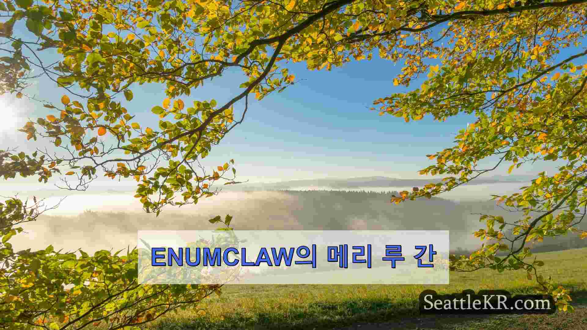 시애틀 뉴스 SeattleKR