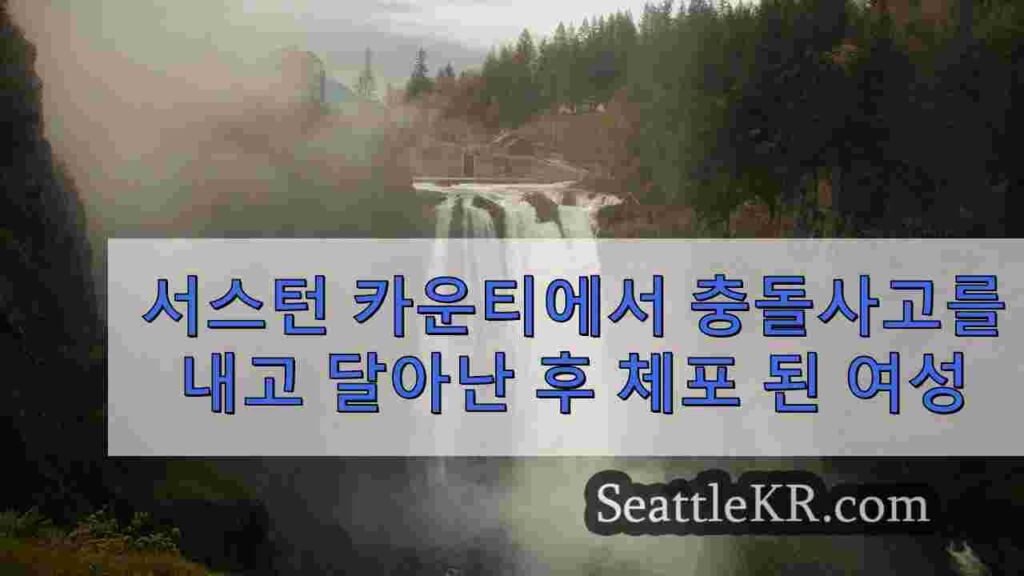 서스턴 카운티에서 대리인을 도망쳐 충돌 사고를 일으킨 후 체포 된 여성