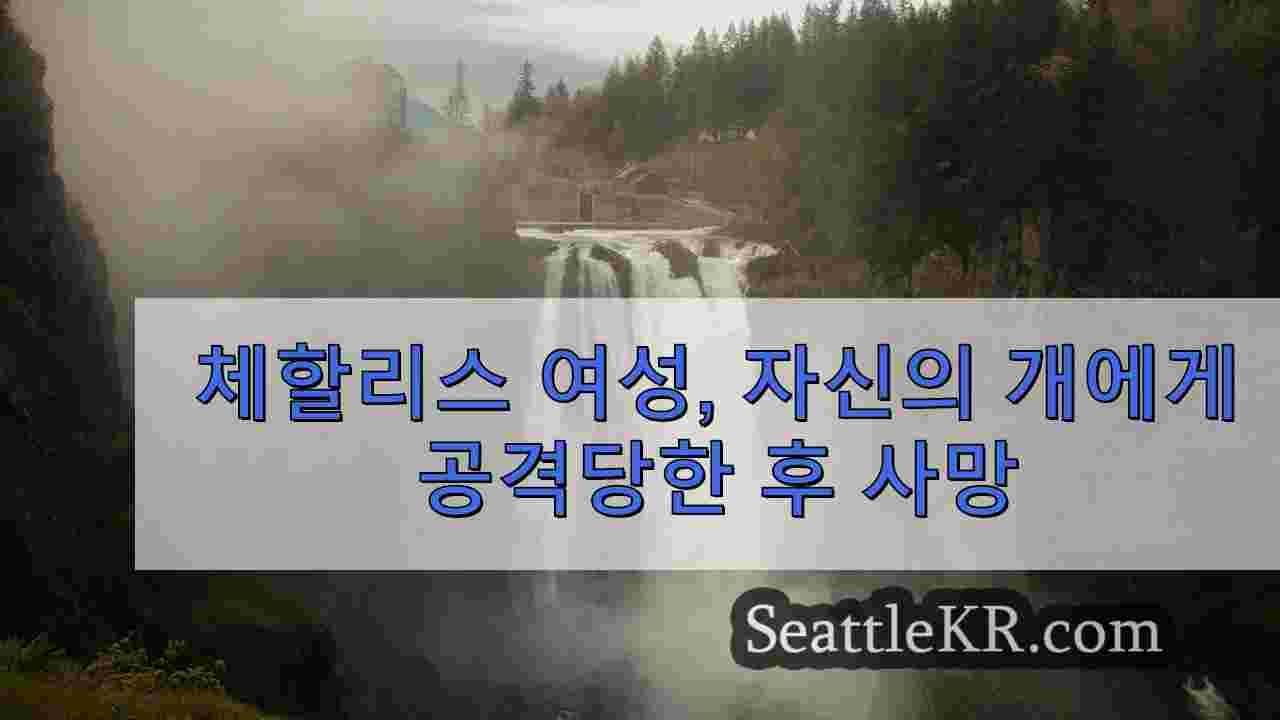 시애틀 뉴스 SeattleKR