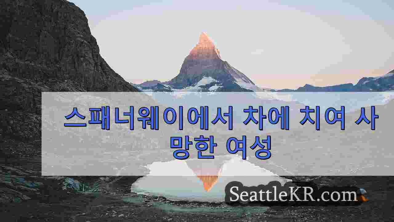 시애틀 뉴스 SeattleKR
