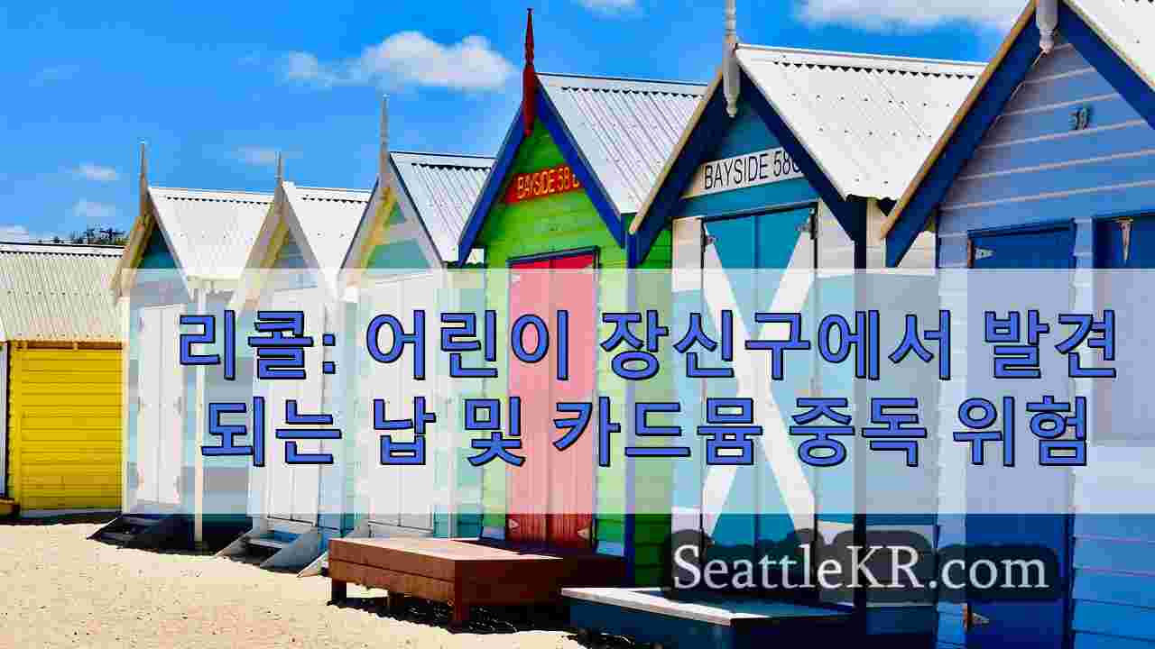시애틀 뉴스 SeattleKR
