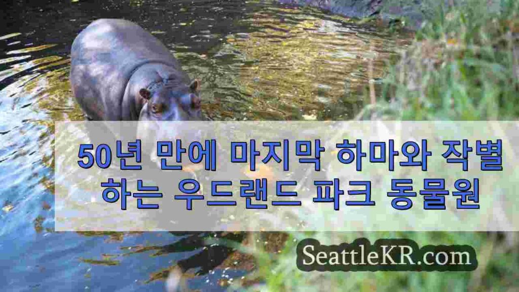 파산 이후 국회의사당에서 조사를 받고 있는 의료 네트워크