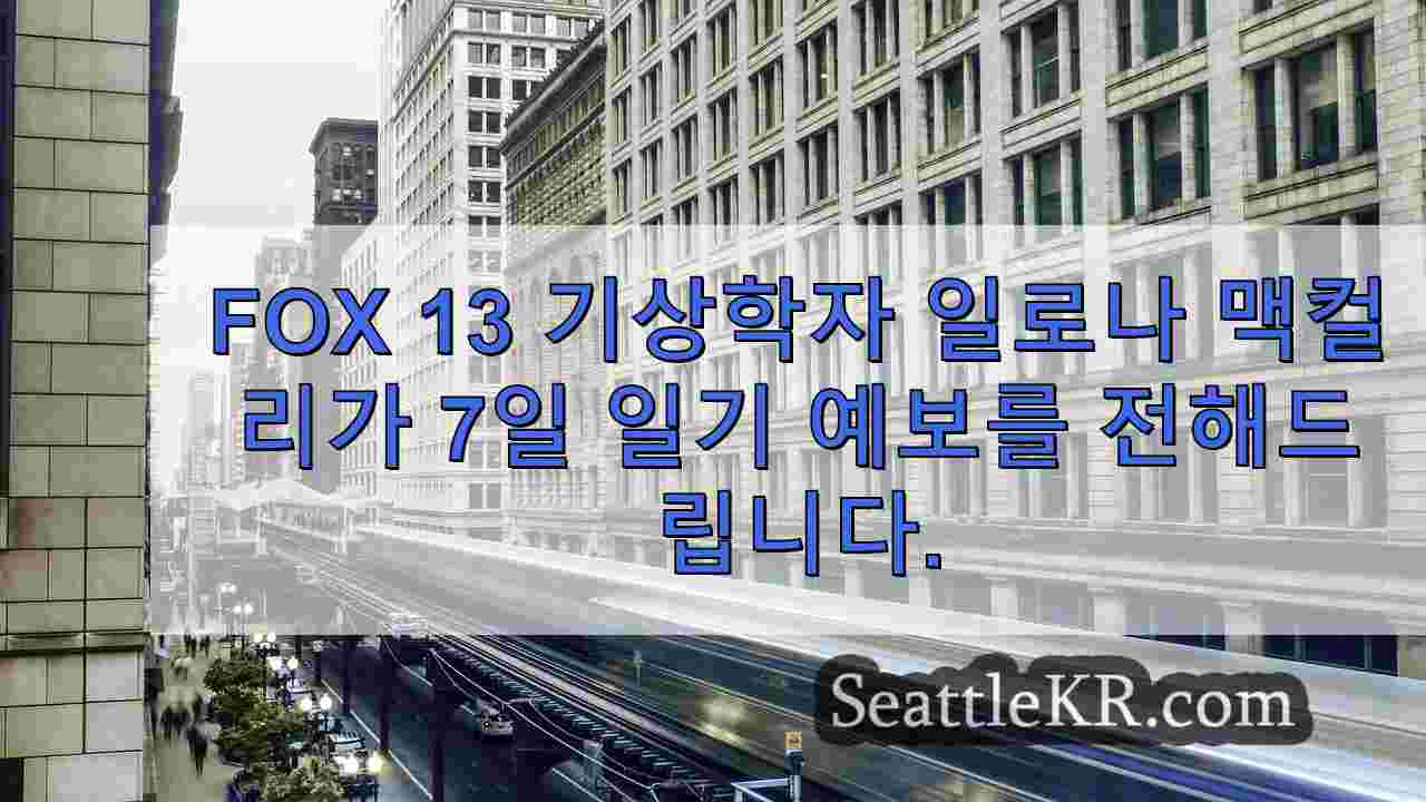 시애틀 뉴스 SeattleKR